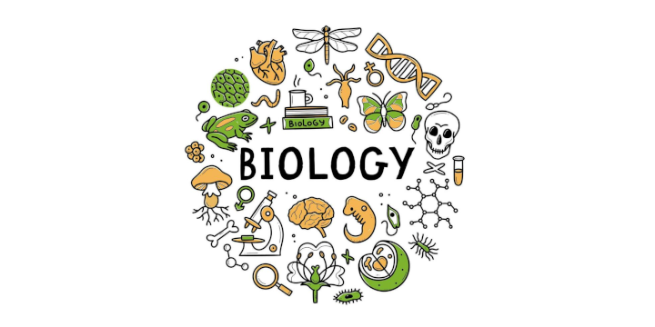 Školsko Natjecanje iz biologije 2024./25.