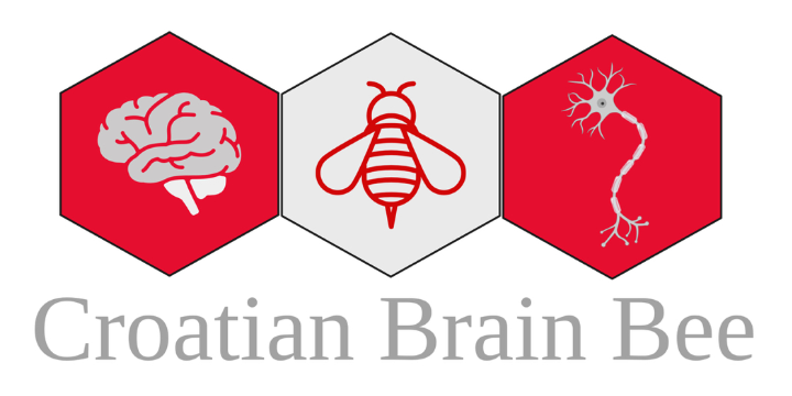 Prvo i treće mjesto na nacionalnoj razini Croatian Brain Bee natjecanja